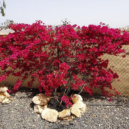 Dunasol Fuerteventura Corralejo Eksteriør bilde